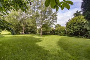 Communal Garden- click for photo gallery